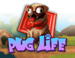 Pug Life